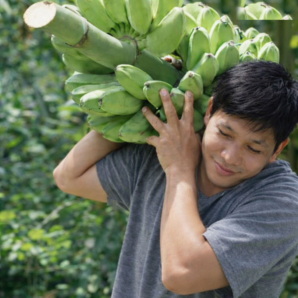 Cardava Sourcing, Davao